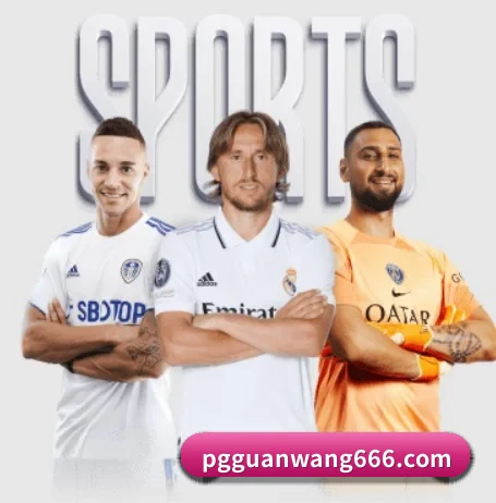 PG官网围绕看球场景设计的核心服务 - 多运动项目内容板块